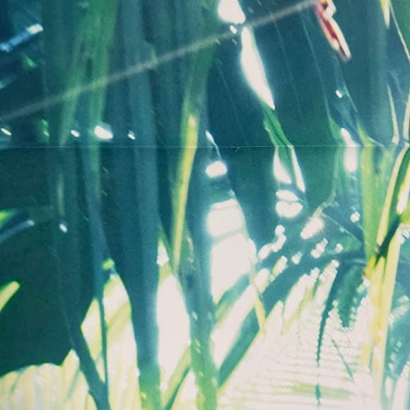 Vivid Moment Photo Backdrop - Picture 7 of 12